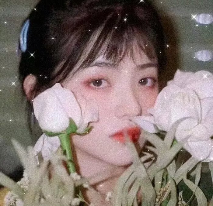 流行歌星：永不停歇